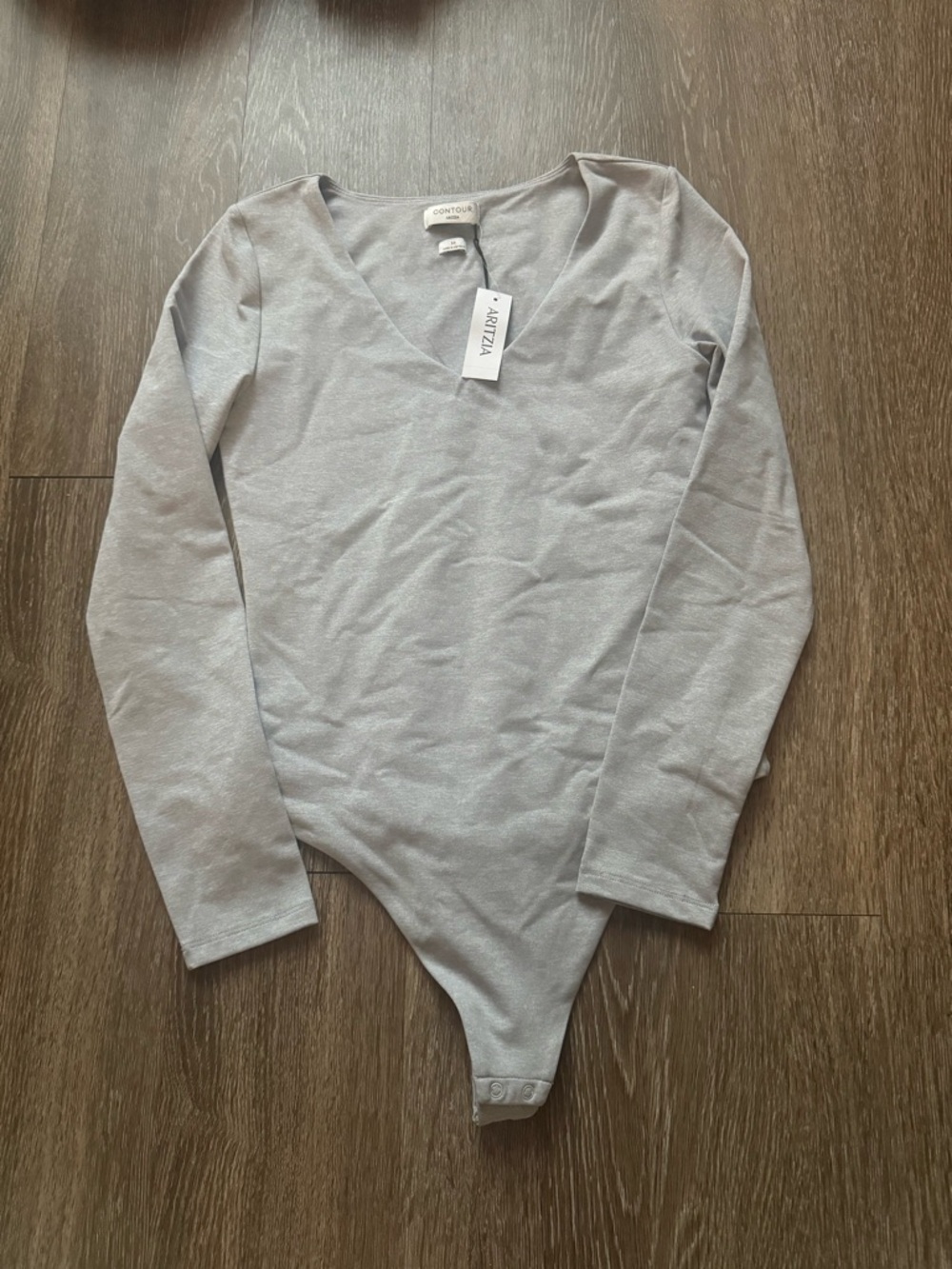 Aritzia long sleeve gray bodysuit